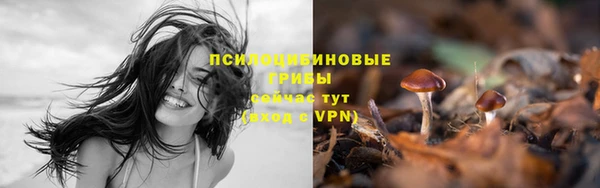соль ск Алзамай