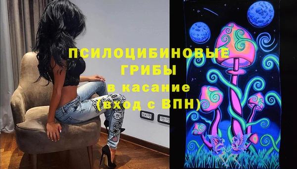 соль ск Алзамай
