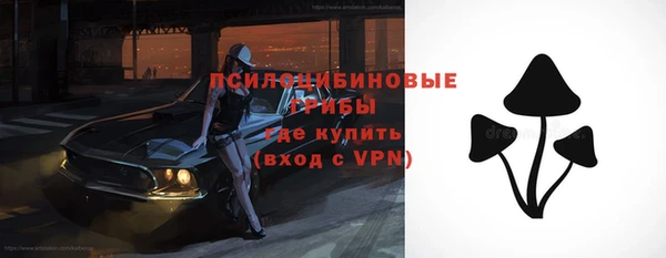 соль ск Алзамай