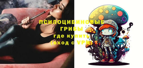 соль ск Алзамай